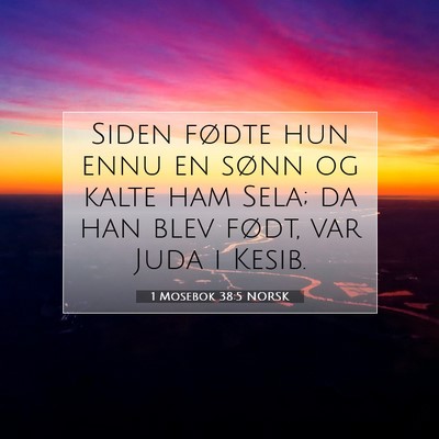 Picture 07 - 1 Mosebok 38:5 NORSK - Siden fødte hun ennu en sønn og kalte ham Sela; - Bible Verse Picture