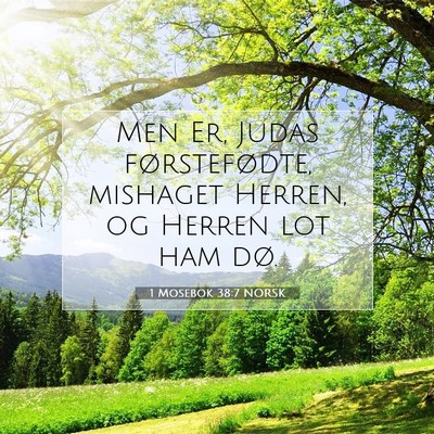 Picture 07 - 1 Mosebok 38:7 NORSK - Men Er, Judas førstefødte, mishaget Herren, og - Bible Verse Picture