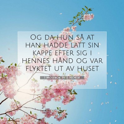 Picture 07 - 1 Mosebok 39:13 NORSK - Og da hun så at han hadde latt sin kappe efter - Bible Verse Picture