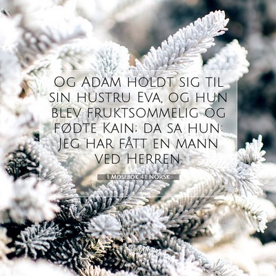 Picture 07 - 1 Mosebok 4:1 NORSK - Og Adam holdt sig til sin hustru Eva, og hun blev - Bible Verse Picture