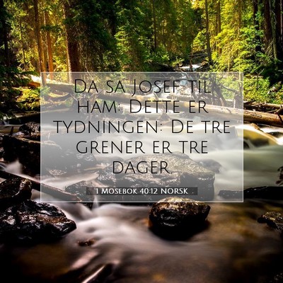 Picture 07 - 1 Mosebok 40:12 NORSK - Da sa Josef til ham: Dette er tydningen: De tre - Bible Verse Picture