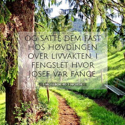 Picture 07 - 1 Mosebok 40:3 NORSK - og satte dem fast hos høvdingen over livvakten, - Bible Verse Picture
