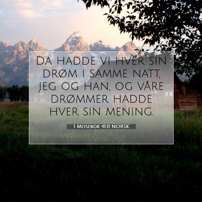 Picture 07 - 1 Mosebok 41:11 NORSK - Da hadde vi hver sin drøm i samme natt, jeg og - Bible Verse Picture