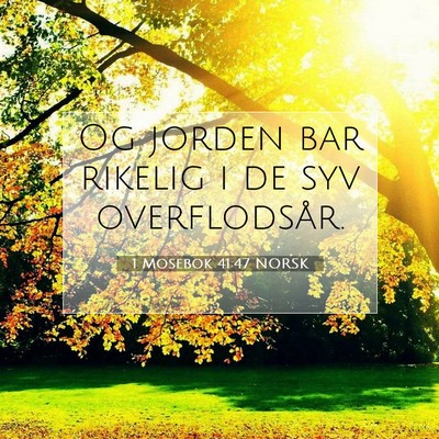 Picture 07 - 1 Mosebok 41:47 NORSK - Og jorden bar rikelig i de syv - Bible Verse Picture