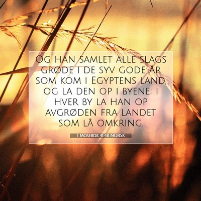Picture 07 - 1 Mosebok 41:48 NORSK - Og han samlet alle slags grøde i de syv gode år - Bible Verse Picture
