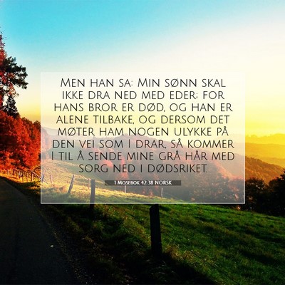 Picture 07 - 1 Mosebok 42:38 NORSK - Men han sa: Min sønn skal ikke dra ned med eder; - Bible Verse Picture