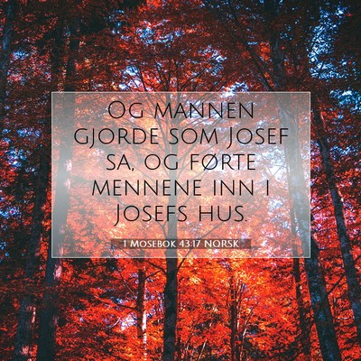 Picture 07 - 1 Mosebok 43:17 NORSK - Og mannen gjorde som Josef sa, og førte mennene - Bible Verse Picture