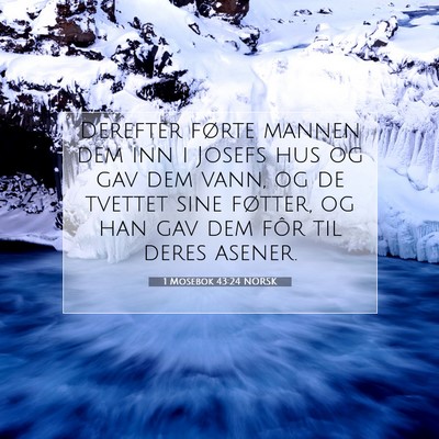 Picture 07 - 1 Mosebok 43:24 NORSK - Derefter førte mannen dem inn i Josefs hus og - Bible Verse Picture