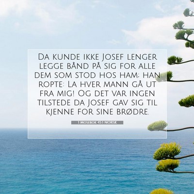 Picture 07 - 1 Mosebok 45:1 NORSK - Da kunde ikke Josef lenger legge bånd på sig - Bible Verse Picture