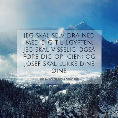 Picture 07 - 1 Mosebok 46:4 NORSK - Jeg skal selv dra ned med dig til Egypten, jeg - Bible Verse Picture