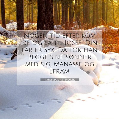 Picture 07 - 1 Mosebok 48:1 NORSK - Nogen tid efter kom de og sa til Josef: Din far - Bible Verse Picture