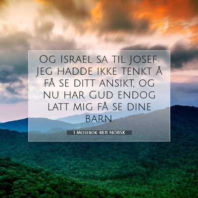 Picture 07 - 1 Mosebok 48:11 NORSK - Og Israel sa til Josef: Jeg hadde ikke tenkt å - Bible Verse Picture