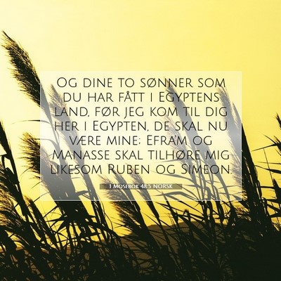 Picture 07 - 1 Mosebok 48:5 NORSK - Og dine to sønner som du har fått i Egyptens - Bible Verse Picture