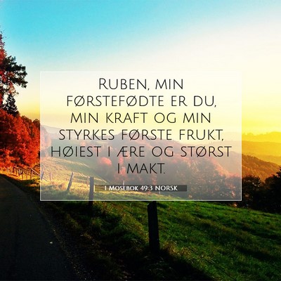Picture 07 - 1 Mosebok 49:3 NORSK - Ruben, min førstefødte er du, min kraft og min - Bible Verse Picture