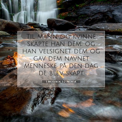 Picture 07 - 1 Mosebok 5:2 NORSK - Til mann og kvinne skapte han dem; og han - Bible Verse Picture