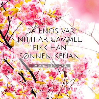 Picture 07 - 1 Mosebok 5:9 NORSK - Da Enos var nitti år gammel, fikk han sønnen - Bible Verse Picture