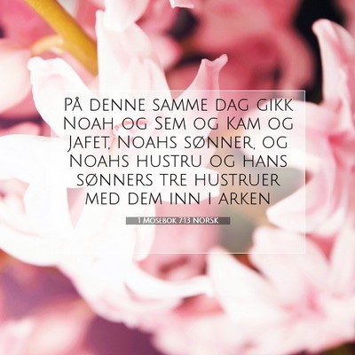 Picture 07 - 1 Mosebok 7:13 NORSK - På denne samme dag gikk Noah og Sem og Kam og - Bible Verse Picture