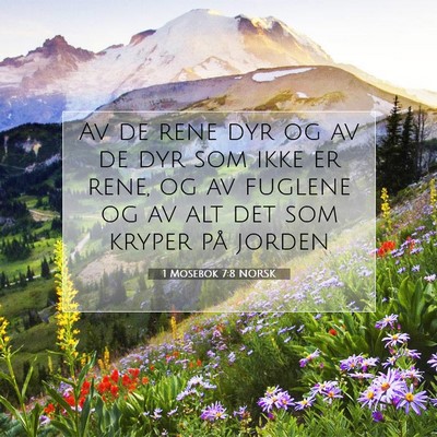 Picture 07 - 1 Mosebok 7:8 NORSK - Av de rene dyr og av de dyr som ikke er rene, og - Bible Verse Picture