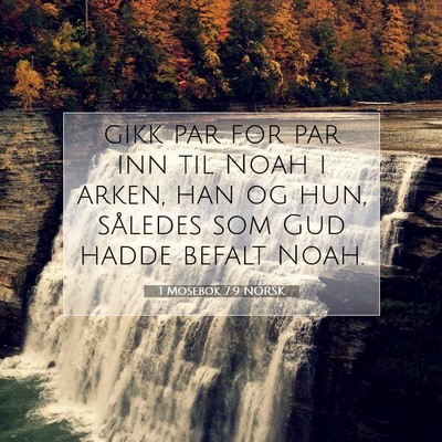 Picture 07 - 1 Mosebok 7:9 NORSK - gikk par for par inn til Noah i arken, han og - Bible Verse Picture
