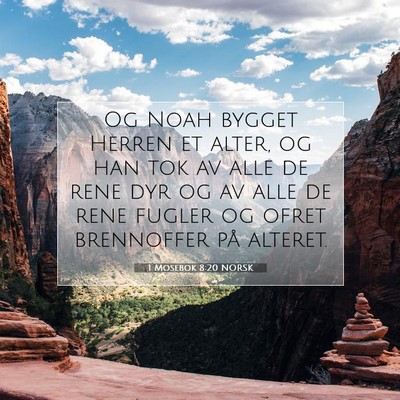 Picture 07 - 1 Mosebok 8:20 NORSK - Og Noah bygget Herren et alter, og han tok av - Bible Verse Picture