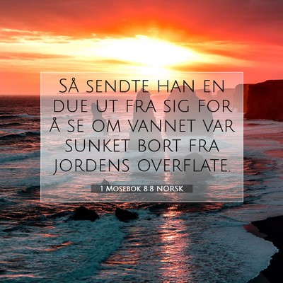 Picture 07 - 1 Mosebok 8:8 NORSK - Så sendte han en due ut fra sig for å se om - Bible Verse Picture