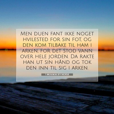 Picture 07 - 1 Mosebok 8:9 NORSK - Men duen fant ikke noget hvilested for sin fot, - Bible Verse Picture