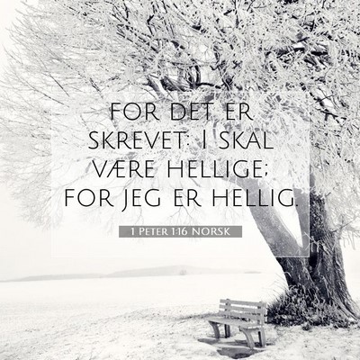 Picture 07 - 1 Peter 1:16 NORSK - for det er skrevet: I skal være hellige; for jeg - Bible Verse Picture