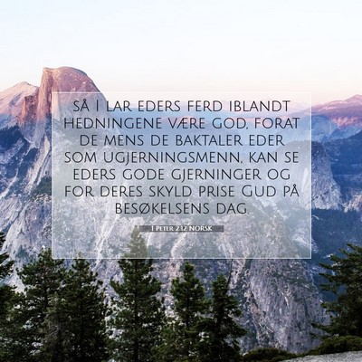 Picture 07 - 1 Peter 2:12 NORSK - så I lar eders ferd iblandt hedningene være - Bible Verse Picture