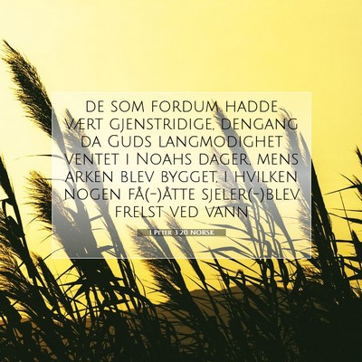 Picture 07 - 1 Peter 3:20 NORSK - de som fordum hadde vært gjenstridige, dengang - Bible Verse Picture