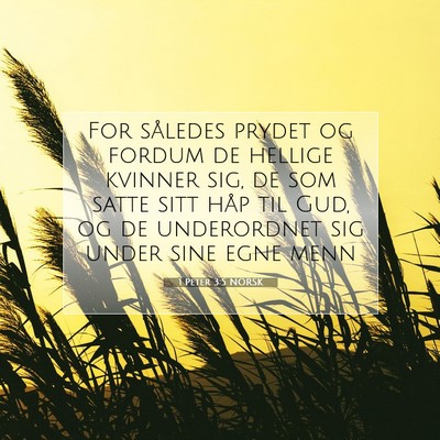 Picture 07 - 1 Peter 3:5 NORSK - For således prydet og fordum de hellige kvinner - Bible Verse Picture