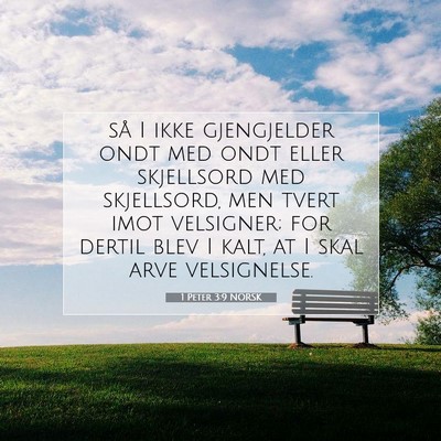 Picture 07 - 1 Peter 3:9 NORSK - så I ikke gjengjelder ondt med ondt eller - Bible Verse Picture