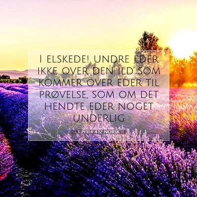 Picture 07 - 1 Peter 4:12 NORSK - I elskede! undre eder ikke over den ild som - Bible Verse Picture