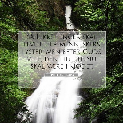 Picture 07 - 1 Peter 4:2 NORSK - så I ikke lenger skal leve efter menneskers - Bible Verse Picture