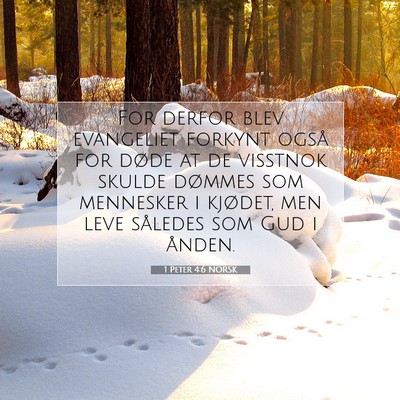 Picture 07 - 1 Peter 4:6 NORSK - For derfor blev evangeliet forkynt også for - Bible Verse Picture