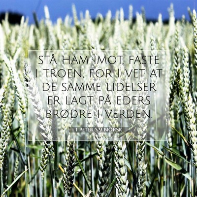 Picture 07 - 1 Peter 5:9 NORSK - stå ham imot, faste i troen, for I vet at de - Bible Verse Picture