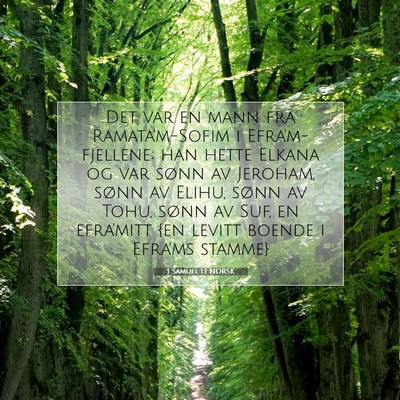 Picture 07 - 1 Samuel 1:1 NORSK - Det var en mann fra Ramata'm-Sofim i - Bible Verse Picture