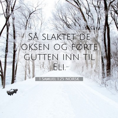Picture 07 - 1 Samuel 1:25 NORSK - Så slaktet de oksen og førte gutten inn til - Bible Verse Picture
