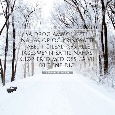 Picture 07 - 1 Samuel 11:1 NORSK - Så drog ammonitten Nahas op og kringsatte Jabes - Bible Verse Picture