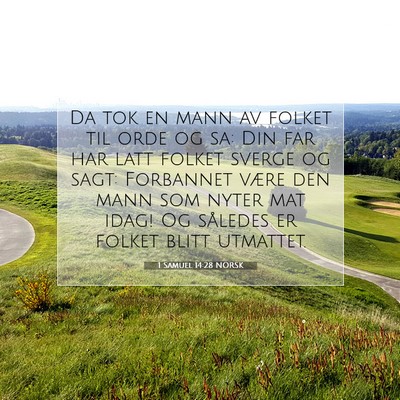 Picture 07 - 1 Samuel 14:28 NORSK - Da tok en mann av folket til orde og sa: Din far - Bible Verse Picture