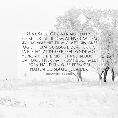 Picture 07 - 1 Samuel 14:34 NORSK - Så sa Saul: Gå omkring blandt folket og si til - Bible Verse Picture