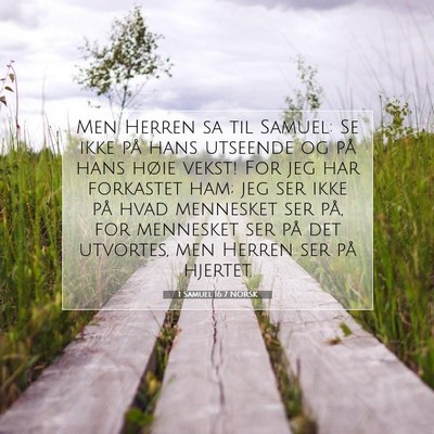 Picture 07 - 1 Samuel 16:7 NORSK - Men Herren sa til Samuel: Se ikke på hans - Bible Verse Picture