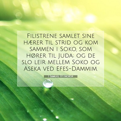 Picture 07 - 1 Samuel 17:1 NORSK - Filistrene samlet sine hærer til strid og kom - Bible Verse Picture