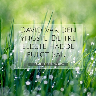Picture 07 - 1 Samuel 17:14 NORSK - David var den yngste. De tre eldste hadde fulgt - Bible Verse Picture