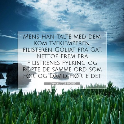 Picture 07 - 1 Samuel 17:23 NORSK - Mens han talte med dem, kom tvekjemperen, - Bible Verse Picture