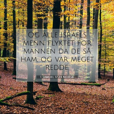 Picture 07 - 1 Samuel 17:24 NORSK - Og alle Israels menn flyktet for mannen da de så - Bible Verse Picture