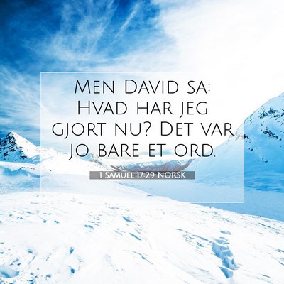 Picture 07 - 1 Samuel 17:29 NORSK - Men David sa: Hvad har jeg gjort nu? Det var jo - Bible Verse Picture