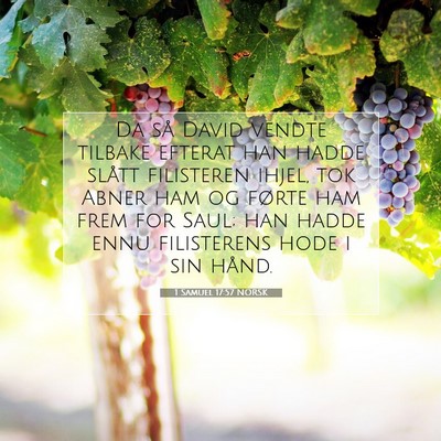 Picture 07 - 1 Samuel 17:57 NORSK - Da så David vendte tilbake efterat han hadde - Bible Verse Picture