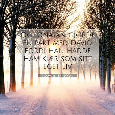 Picture 07 - 1 Samuel 18:3 NORSK - Og Jonatan gjorde en pakt med David, fordi han - Bible Verse Picture