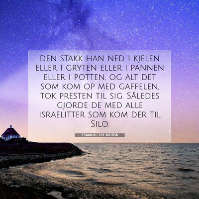 Picture 07 - 1 Samuel 2:14 NORSK - den stakk han ned i kjelen eller i gryten eller i - Bible Verse Picture