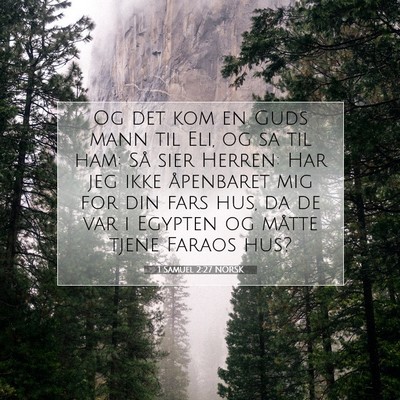 Picture 07 - 1 Samuel 2:27 NORSK - Og det kom en Guds mann til Eli, og sa til ham: - Bible Verse Picture